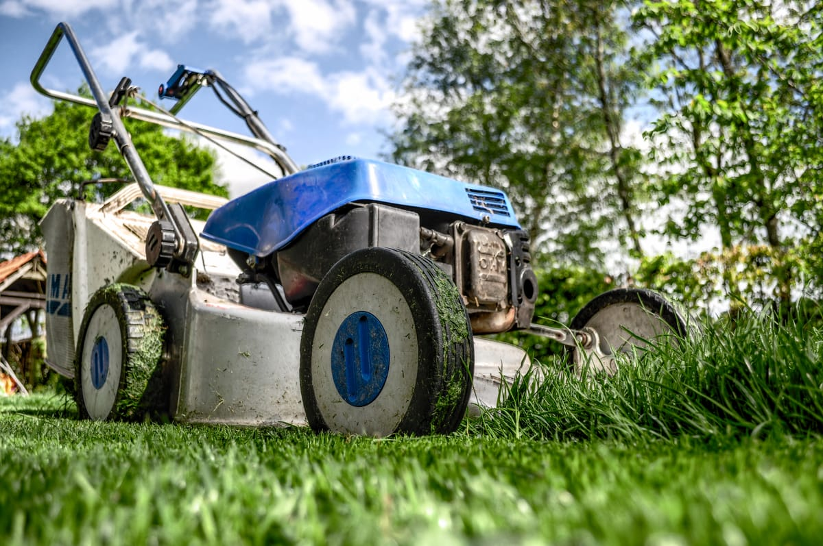 Landscaping business branding
