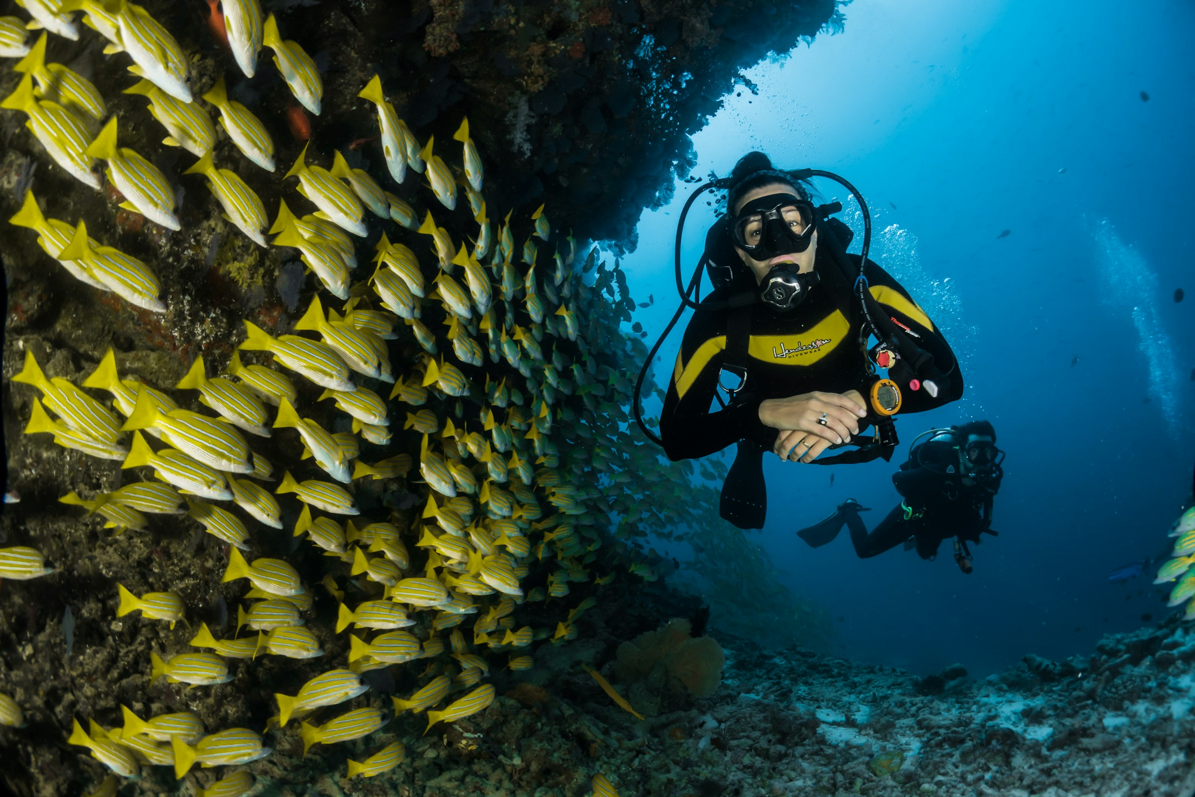 Professional marine business with boats and waterfront branding